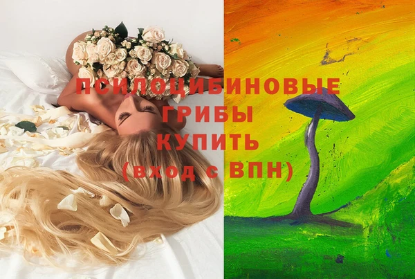 каннабис Алексеевка