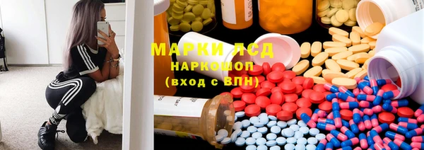 крисы Алзамай