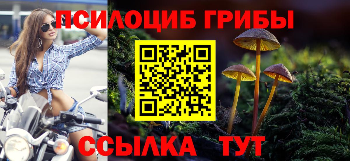 Галлюциногенные грибы GOLDEN TEACHER  Вход с VPN  Нижний Новгород 